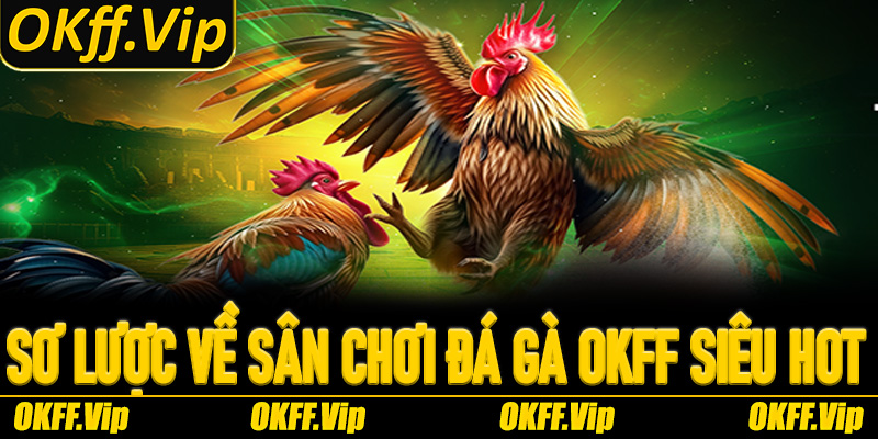 Sơ lược về sân chơi đá gà OKFF siêu hot