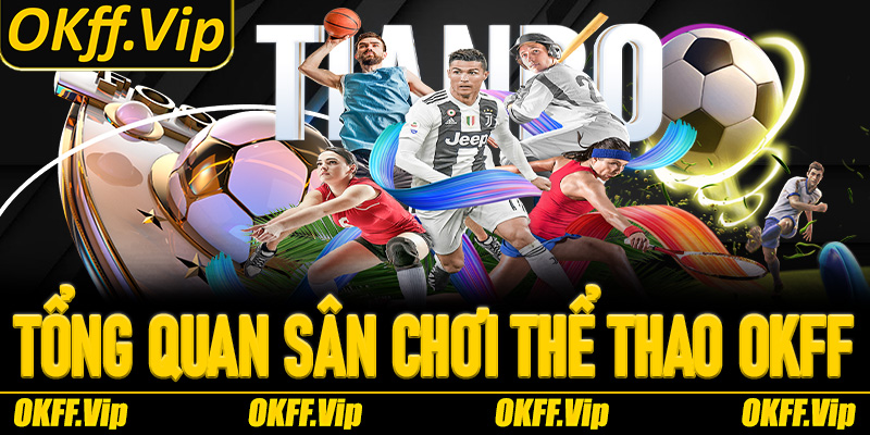 Thông tin tổng quan sân chơi Thể thao OKFF