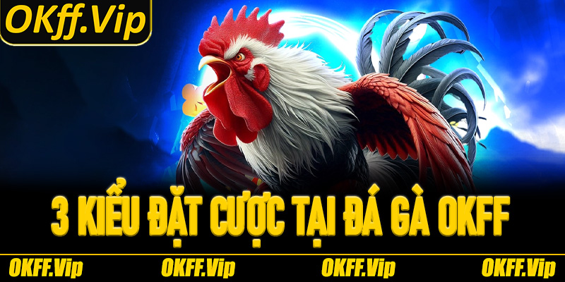 3 kiểu đặt cược được ưa chuộng tại đá gà OKFF