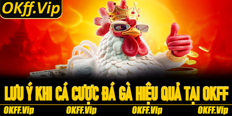 Một vài lưu ý khi cá cược đá gà hiệu quả tại OKFF